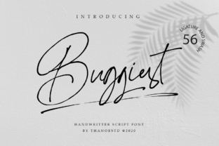 Buggiest Font Review: A Bold Script for Modern Design Projects