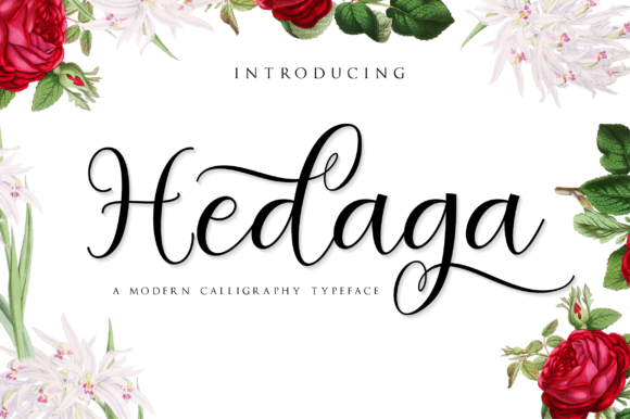 Embracing Hedaga: A Romantic Script for Modern Design