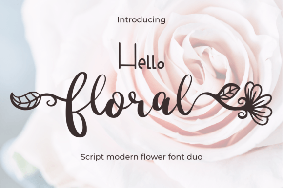 Hello Floral: A Modern Script That Brought Life to My Projects
