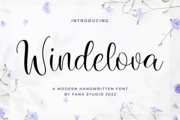 Introducing Windelova Script for Your Next Design