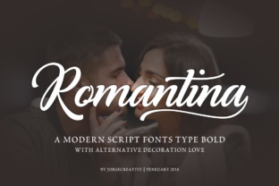 Romantina: The Strategic Intersection of Modern Typography and Emotional Design